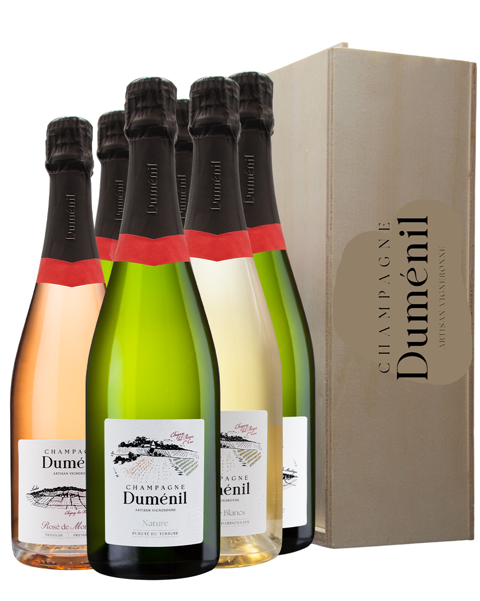 COFFRET DÉGUSTATION (en coffret bois 6 bouteilles)