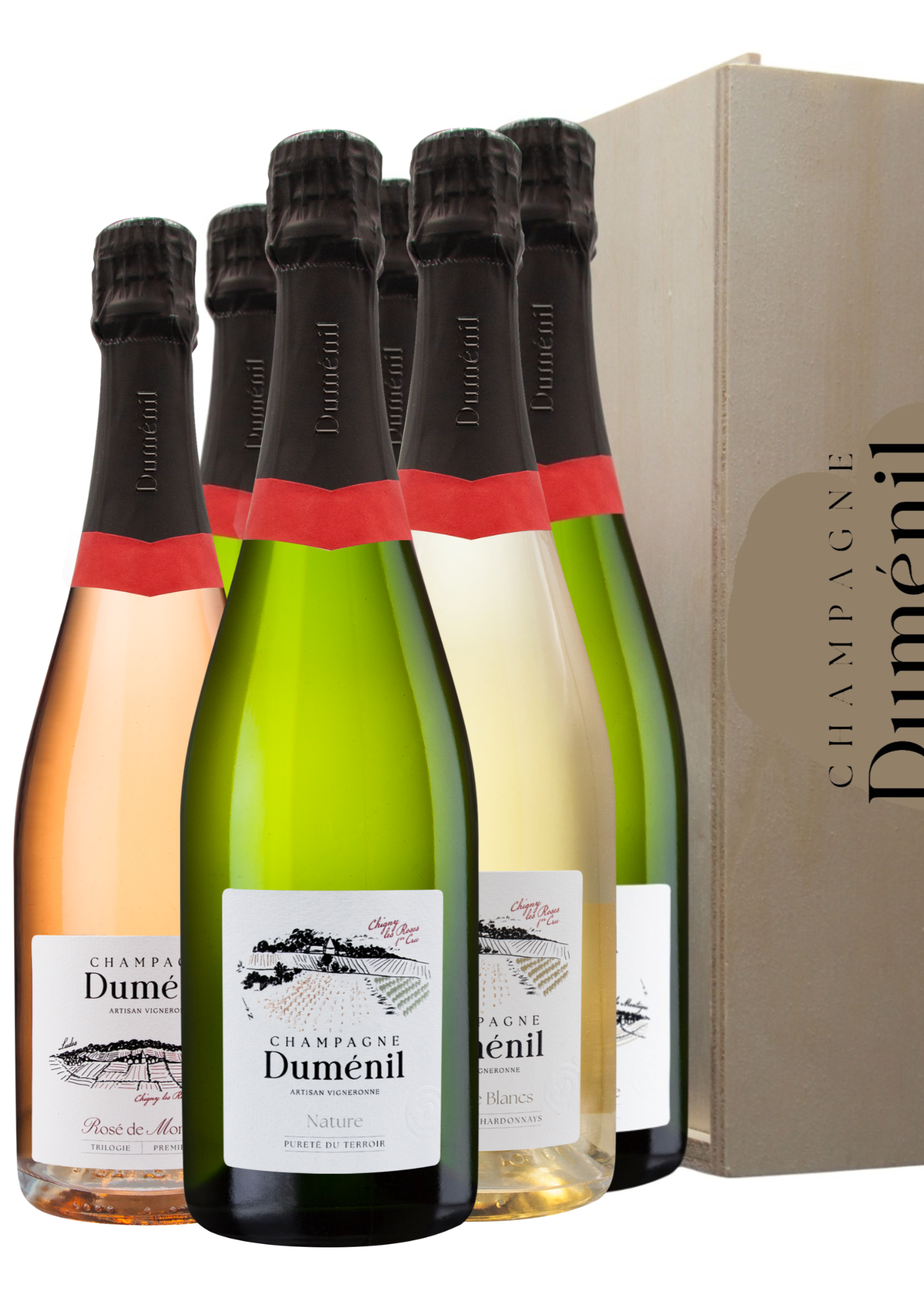COFFRET DÉGUSTATION (en coffret bois 6 bouteilles)